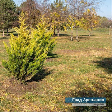 Данас је Европски дан паркова - У Зрењанину се спроводи низ пројеката ревитализације паркова и зелених површина 