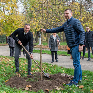 U sklopu prve faze rekonstrukcije zelenila Karađorđevog parka gradonačelnik zasadio sadnicu i poručio da će biti uklonjeno svega 3 odsto dotrajalih i oštećenih stabala
