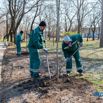 У Зрењанину настављена садња дрвећа набављених у акцији ДДОР осигурања "За шуму у твом крају" - у Карађорђевом парку засађено више од 75 стабала