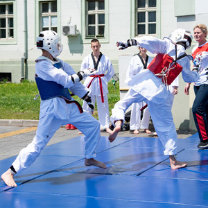 Година на измаку у знаку борилачких спортова у Зрењанину - три екипне државне титуле и успеси на међународном плану за сваку похвалу