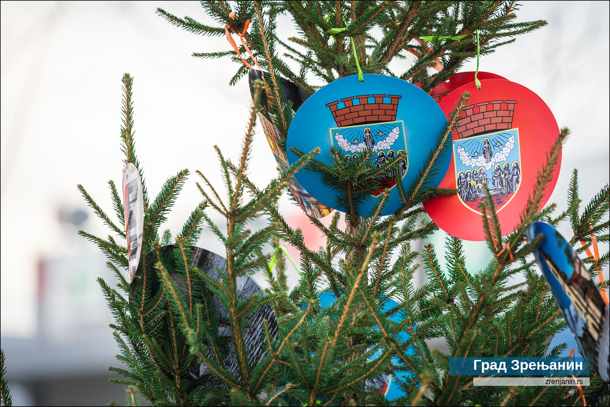 Grad Zrenjanin u humanitarnoj akciji ''Avivov izbor za najlepšu novogodišnju jelku Zrenjanina''