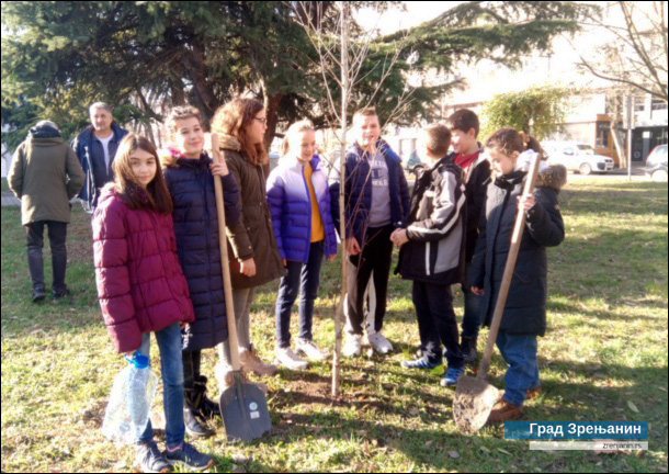 Настављена акција озелењавања - ученици школе ''2. октобар'' засадили брезе, Пољопривредне храст и црни бор