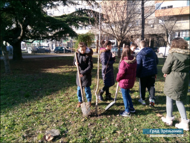 Nastavljena akcija ozelenjavanja - učenici škole ''2. oktobar'' zasadili breze, Poljoprivredne hrast i crni bor